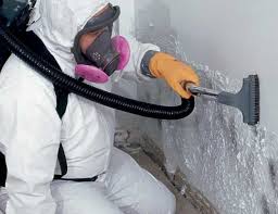 Forensic Mold Investigation in Baxter, TN